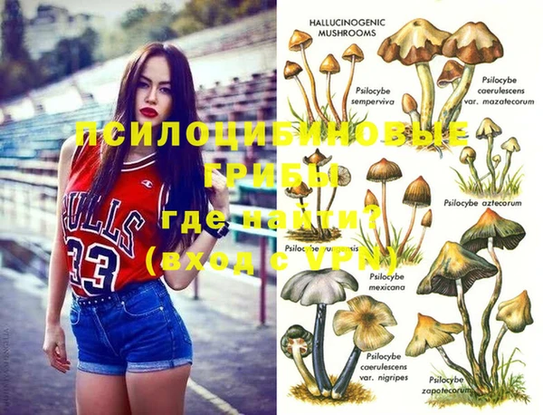 хмурый Балабаново