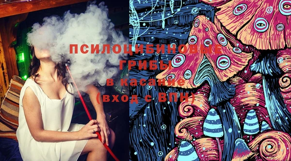 хмурый Балабаново